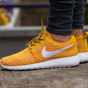 Nike Roche One Flyknit
